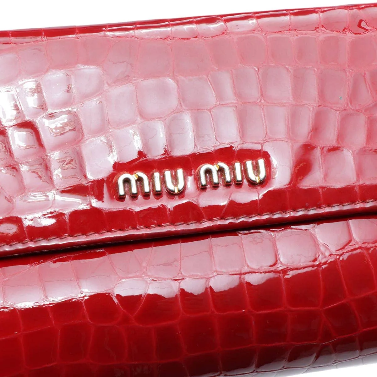 Miu Miu Cartera